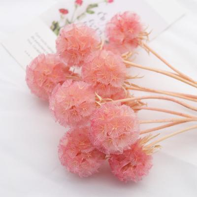 China 2021 Touch GH-36 2021 natural hot sale natural resin flower home/wedding decoration cheap sun dried fruit dried flowers for sale