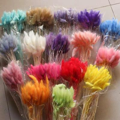 China Part A-59 2021wholesale cheap dry candles Amazon Amazone natural for decorative resin flower bunny tail dried flowers for sale