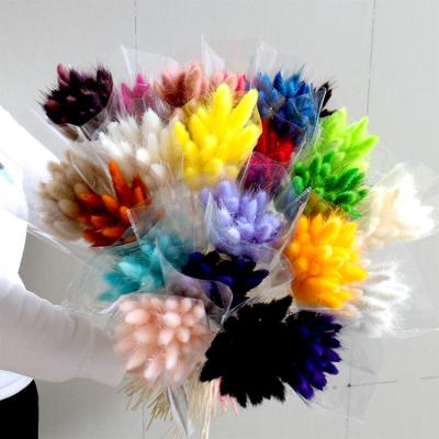 China GH-9 Wholesale high quality party flowers rabbit tail grass bouquet lagurus ovatus&rabbit tail dry grass for christmas decor for sale