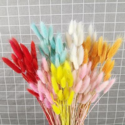 China 2021 Hot Sale Supplier Natural C-4 Touch Flower Candles Dry Rabbit Tail Dried Flower Arrangement For Home/Festival /Wedding Decoration for sale