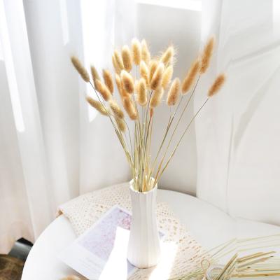 China GH Flowers - 012 High Quality Natural Grass Mini Dried Flower Rabbit Bouquets Bunny Tail Dry Grass Flower for Party Wedding Home Decoration for sale