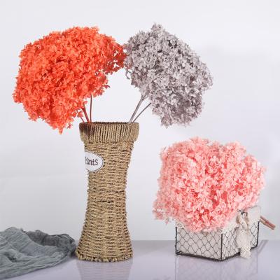 China BX-27 Wholesale Natural Touch Wedding Decor Accessories Decoration Backdrop Dried Flowers Preserved Hydrangea For Wedding Decoration for sale