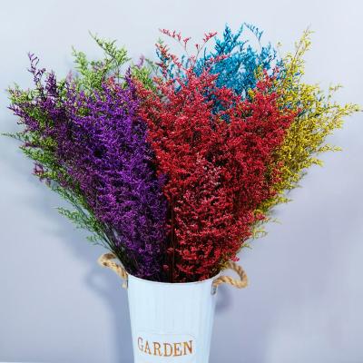 China Modern Fashion A-53 2021 Amazon Wholesale Cheap Amazon Dries Natural Dried Flowers For Resin Flower Lover Grass Wedding Decorative Decor for sale