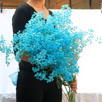 China 2021 A-35 2021 Amazon Amazone Wholesale Cheap Wholesale Home Decoration Gypsophila Party and Dry Candles Natural Dry Flowers for Decorative Resin Baby's Breath Flower for sale