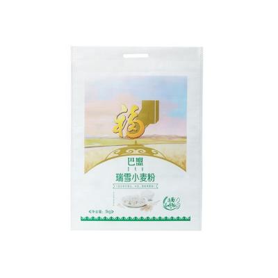 China 10kg Custom PP Woven Rice 25kg Corn 50kg Flour Packaging Moisture Proof Plastic Bag for sale