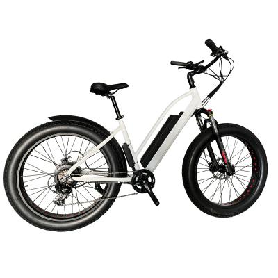 China 2022 new aluminum alloy female step through electric bike, fat tire step ebike for sale