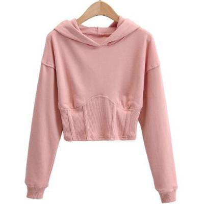 China Anti-Wrinkle Anti-Wrinkle Solid Color Custom Loose Fashion Long Sleeves Wholesale Plus Size Pullover Women's Hoodies for sale