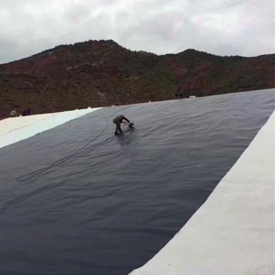 China High Tensile Strength Hot Selling High Quality Soft HDPE Geomembrane for sale