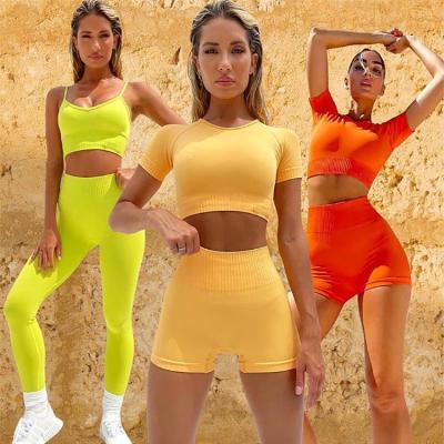 China Hot Sale 5 Pcs Breathable Seamless Sporty Women's Sport Suit Yoga Set Sports Bra And Biker Shorts Women Gym Fitness Ribbed Set for sale