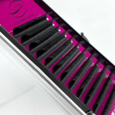 China Sensitive Individual Eyelash Extension Classic Eyelash Extension Trays 8-18mm Luxury Eyelash Extensions for sale