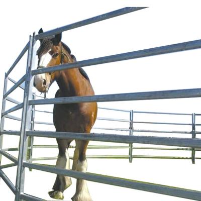 China Easily Assembled High Quality Galvanized Used Corral Panels Used Horse Fence Panels Livestock Metal Fence Panels for sale