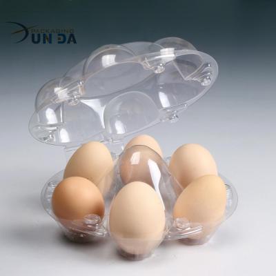 China Plastic Egg Precision Grade Quail Egg Tray for sale