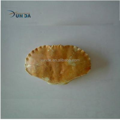 China New Products Disposable Plastic Crab Shell for Crab Meat for sale