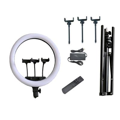 China ABS+iron Ring Light Kit: 18