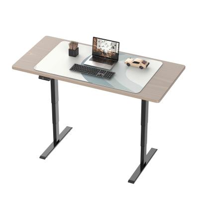 China (Height) Three Segment Two Motor Adjustable Sit Stand Home Office Lifting Desk View for sale