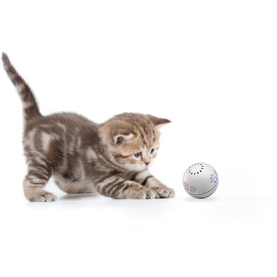 China 2021Wholesale Petoneer Viable Electric Smart Laser Game Ball Automatic Interactive Pet Cat Toy for sale