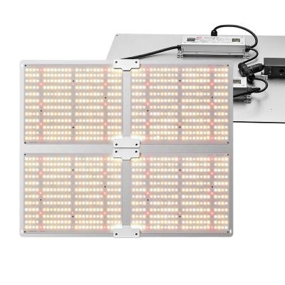 China Seed Starting 450W Samsung LED Diodes Dimmable Medium Well Driver For Hydroponic Seedling And Flowers For Grow Light for sale