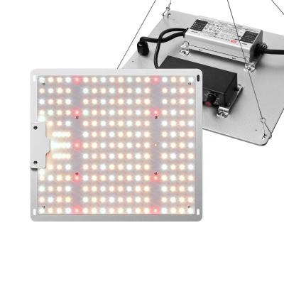 China Seed Starting Full Spectrum 1000W LED Grow Light Cover 3 x 3ft Dimmable Samsung IR UV Grow Lamps For Indoor Plants for sale