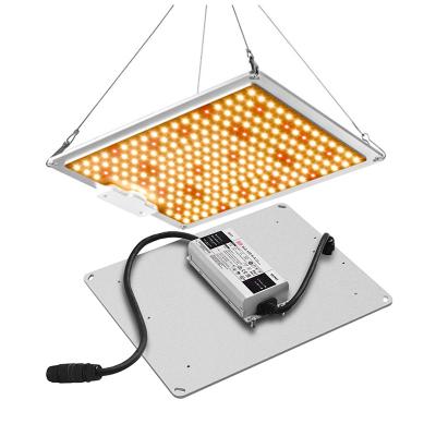 China Seed starting 100W Samsung lm301b LED grow light for VEG FLOWER growth, grow lights for indoor plants. for sale