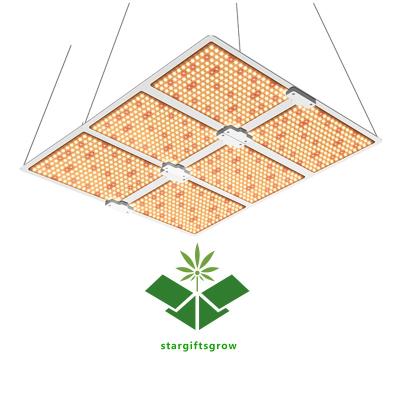 China Seed Starting Board Samsung lm301b Meanwell Driver Full Spectrum 600w 660nm DIY LED Grow Light For 9x6ft Spaces for sale