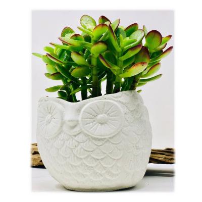 China USA Owl Cement Planter Pot Concrete Succulent Planter Geometric Plant Pot for sale