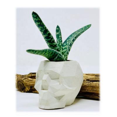 China Succulent USA Cement Planter Air Plant Holder Household Gifts for sale