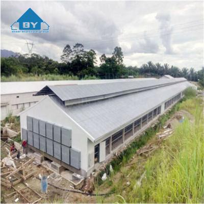 China Cheap Automatic Steel Structure Poultry Farm China Manufacturer Steel Structure Poultry Farm House for Boiler or Layer Chicken for sale