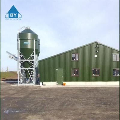 China Automatic Steel Structure Poultry Farm Steel Structure Farm Pre-engineered Cheap Steel Structure Poultry Farm House For Boiler Or Layer Chicken for sale