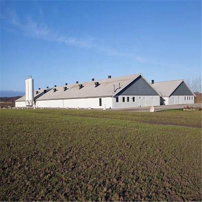 China Cost-effective Steel Structure Poultry Farm New Steel Structure Farm Type Automatic Steel Structure Poultry Farm House for Boiler or Laying Chicken for sale