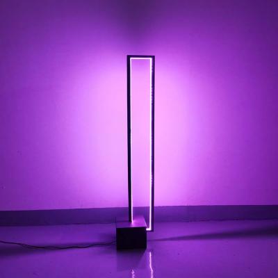 China Northern Europe Modern Simple Stand Up Floor Lamp Color Changing RGB Floor Lamp Hotel Villa Decoration LED Floor Lamp for sale