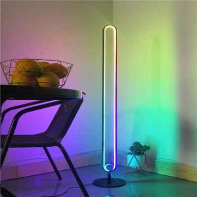 China Modern Designer Creativity LED Floor Lamp Hotel Villa Decoration Artistic Color Changing RGB Floor Lamp for sale