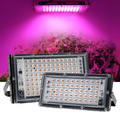 China Seed Starting 50W 100W LED Plant Grow Light Waterproof Phytolamp Full Spectrum Plant Lighting Phyto Growth Lamp for sale