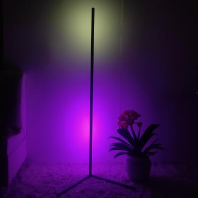 China RGB modern modern led floor lamps for living room floor standing lighting form home corner decoratio for sale