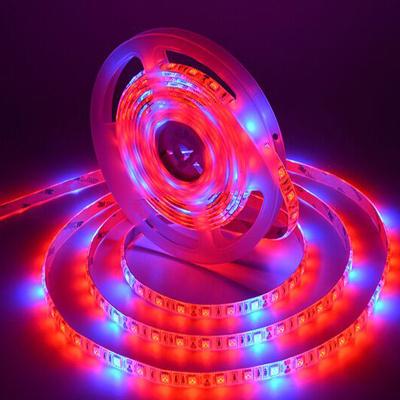 China Warehouse RGB Dc12V 24V 60LEDS/M 5050SMD 8MM Flexible Waterproof Full Spectrum Led Strip Light For Led Grow System for sale