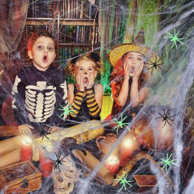 China Fashionable Home Entrances Decorations Halloween Cobweb Stretch Cobwebs with Spiders for Halloween Party Decoration Supplies for sale