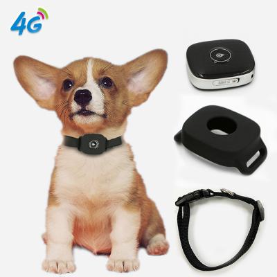 China Mini 4g 3g 2g 3G Child Kids Cat Dog Pet Gps Personal Tracking Anti-lost Tracker for sale