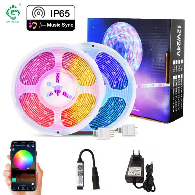 China Waterproof Lighting APP SMD 5050 RGB DC12V Indoor/Outdoor Smart Colorful Flexible LED Tape Strip Light for sale