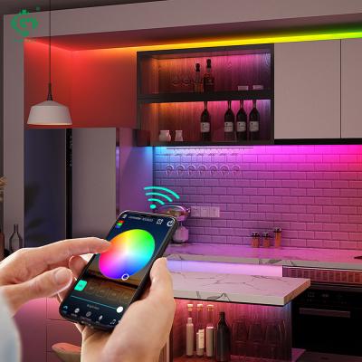 China Indoor/Outdoor Factory Waterproof Outdoor RGB Led Strip Lamp 12v Music Smart Light Strip Lighting for sale