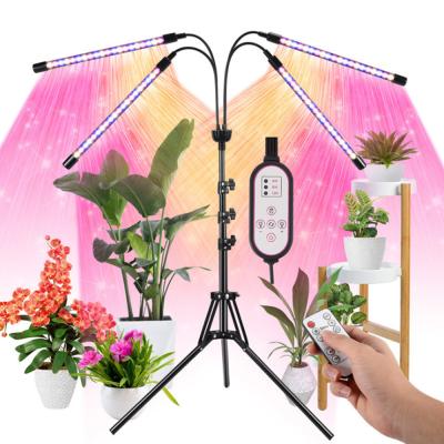 China Seed Starting 2021 New Factory To Breed Full Spectrum Led Light To Grow Light For Indoor Home for sale