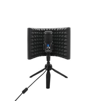 China Riworal BV3 Studio Foldable Microphone Foam Sound Absorbing Sound Insulation Screen Noise Canceling Microphone 3 Panels for sale