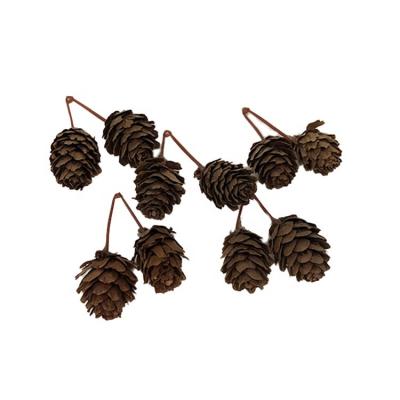 China No Pollen Decoration Mini Brown Christmas Natural Pine High Quality Indoor Cones for sale