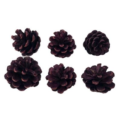 China No Pollen Modern Home Decoration Hotel Purple Latest Style Natural Christmas Pine Cones for sale