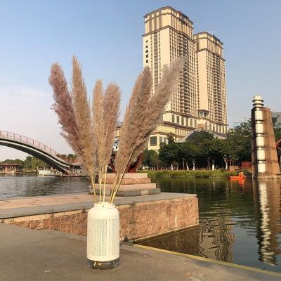 China No Pollen Wholesale Price Wedding Party Decoration Flower Natural Dry Pampas Grass Large for sale