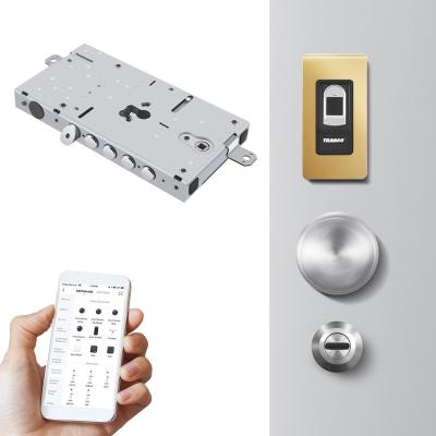 China High quality italy style Turkish key tuya fingerprint style flat security door lock galvanized smart moturizzata serratura moturizzata for sale