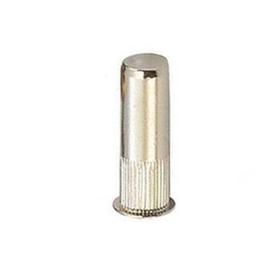 China Heavy Industry Flat Rivet Head Nut Metric Thread Galvanized Knurled Rivet Nuts Rivet Nut for sale