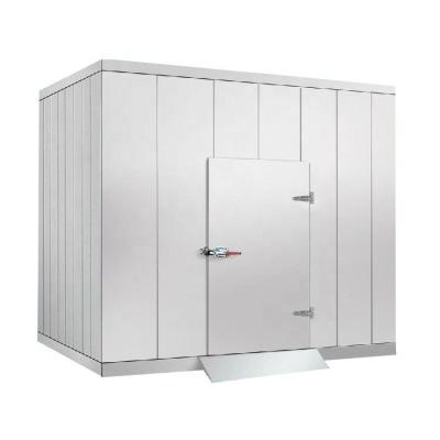 China Cold Storage Room Freezer Room Power Saving Cold Room In China Stainless Steel Chicken Fish Wall Food Air Sales Fan Support Factory Swing Weight double color for sale