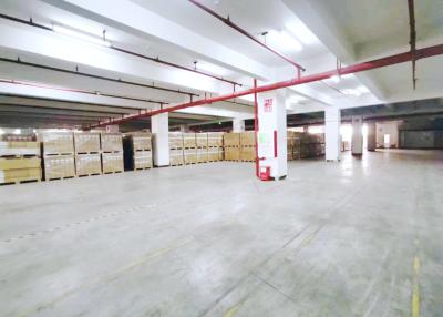 Cina China International Bonded Warehouse Pick And Pack Services Returned Goods Repair Available in vendita