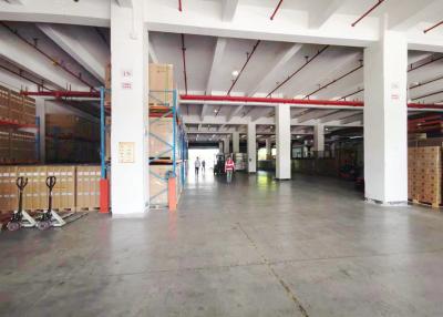 Cina Logistics Convenience Shenzhen Free Trade Zone Free Taxes And High Security in vendita