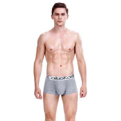 China Breathable Youth Mid Waist Plus Size Men's Underwear Modal Boxer Shorts Breathable Solid Color Shorts Men's Boxed Wholesale for sale