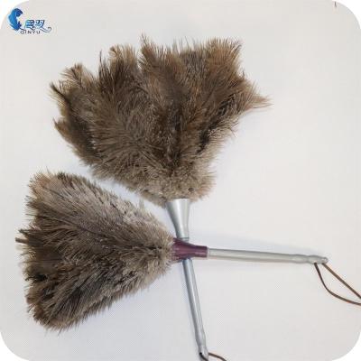 China Factory price sustainable good quality household fluffy soft and handle reusable plastic ostrich feather duster for sale